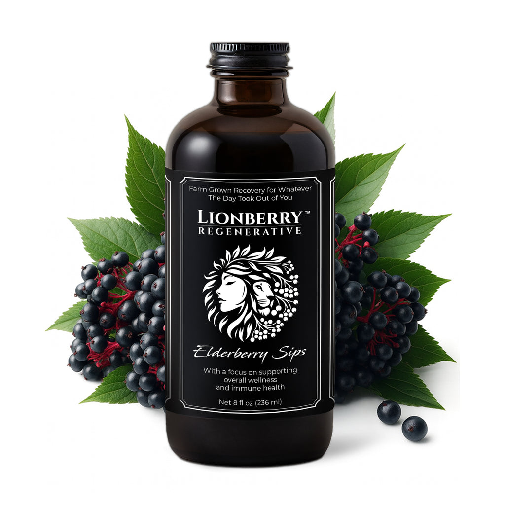 LIONBERRY REGENERATIVE Elderberry Sips – 8 oz