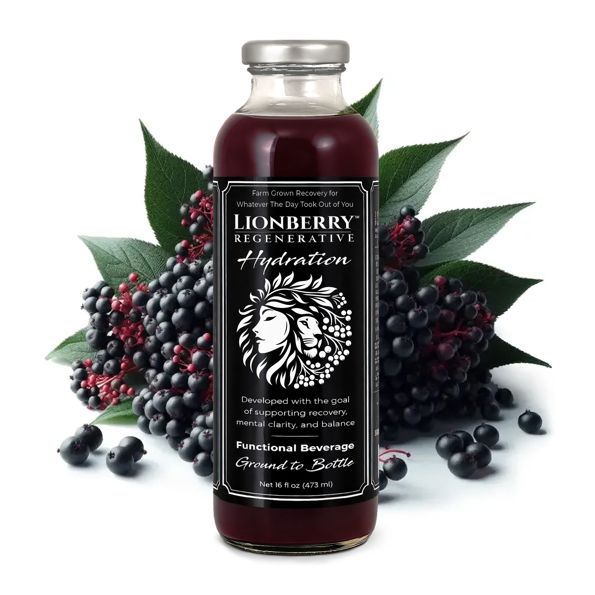 LIONBERRY REGENERATIVE Hydration – Functional Recovery Beverage (16 oz) - 4-pack